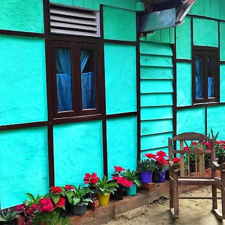 Live In Nature Darjeeling  Bagian luar foto