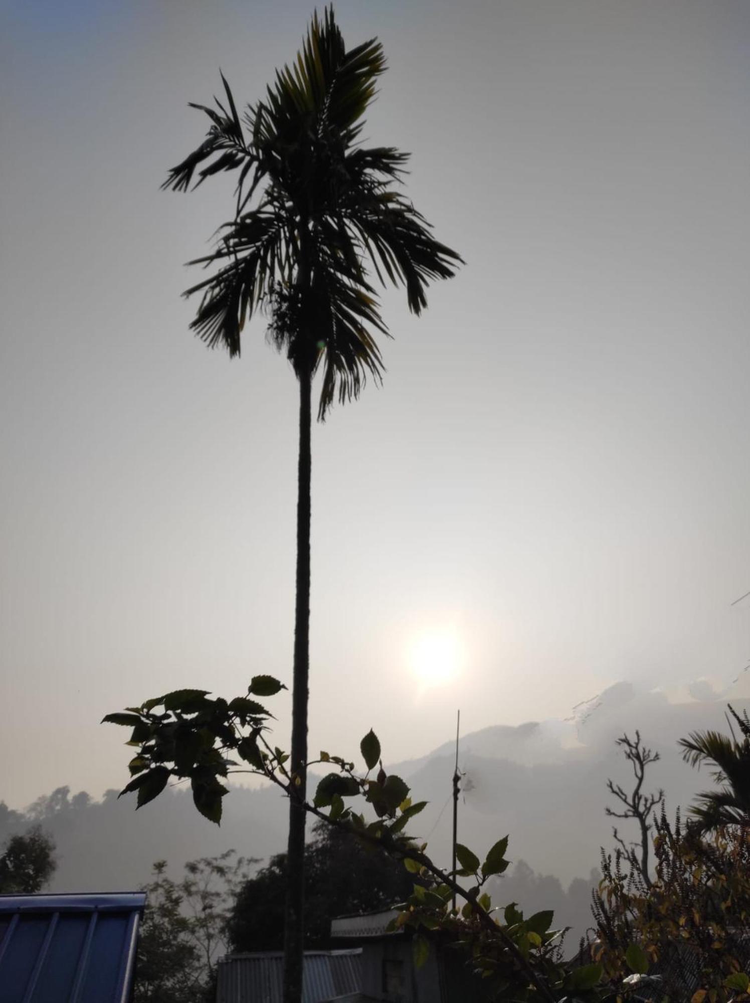 Live In Nature Darjeeling  Bagian luar foto