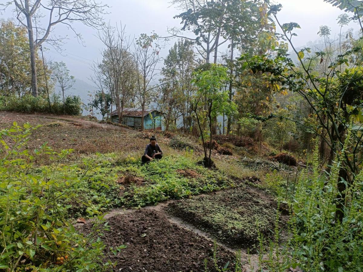 Live In Nature Darjeeling  Bagian luar foto