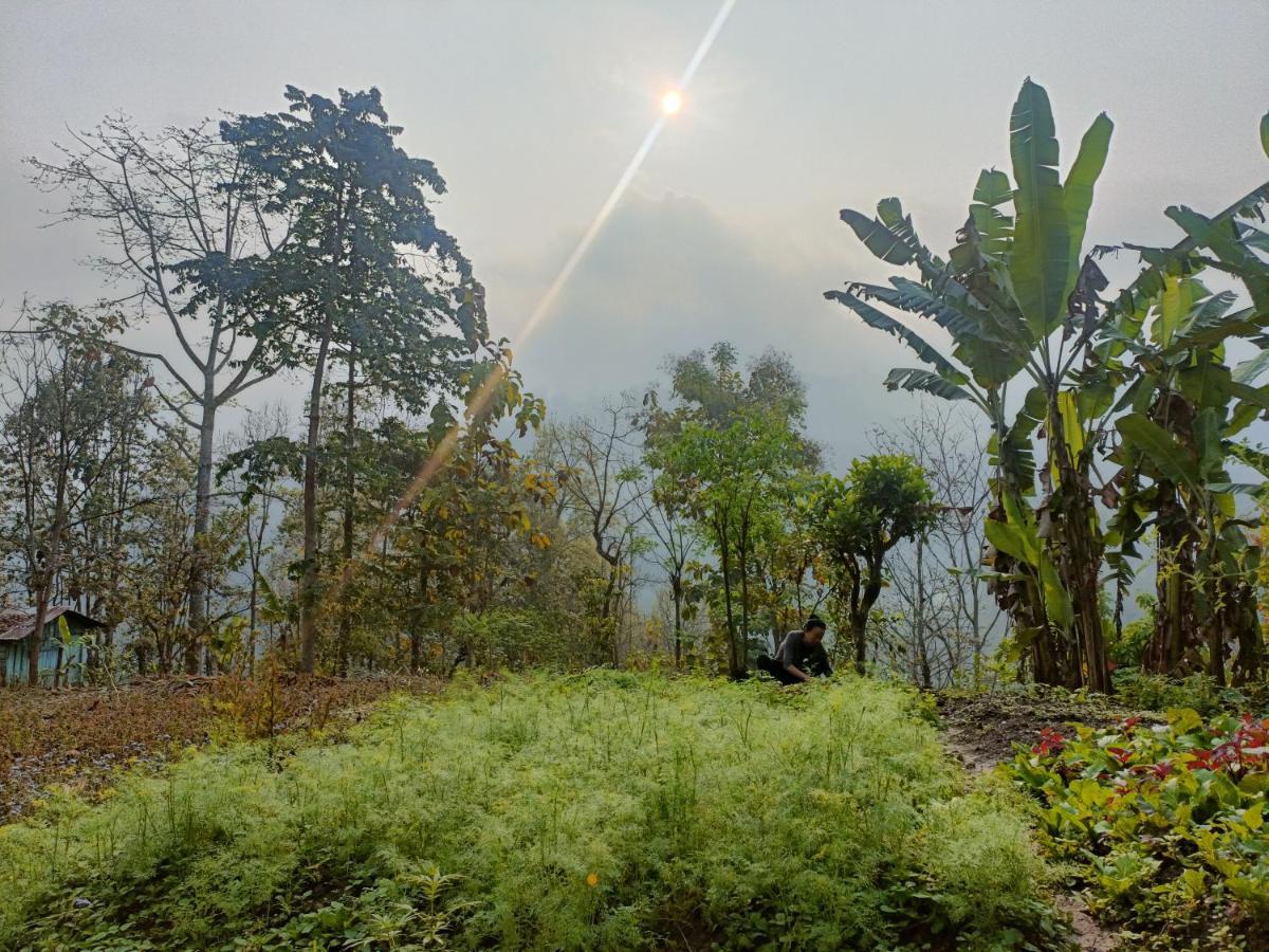 Live In Nature Darjeeling  Bagian luar foto