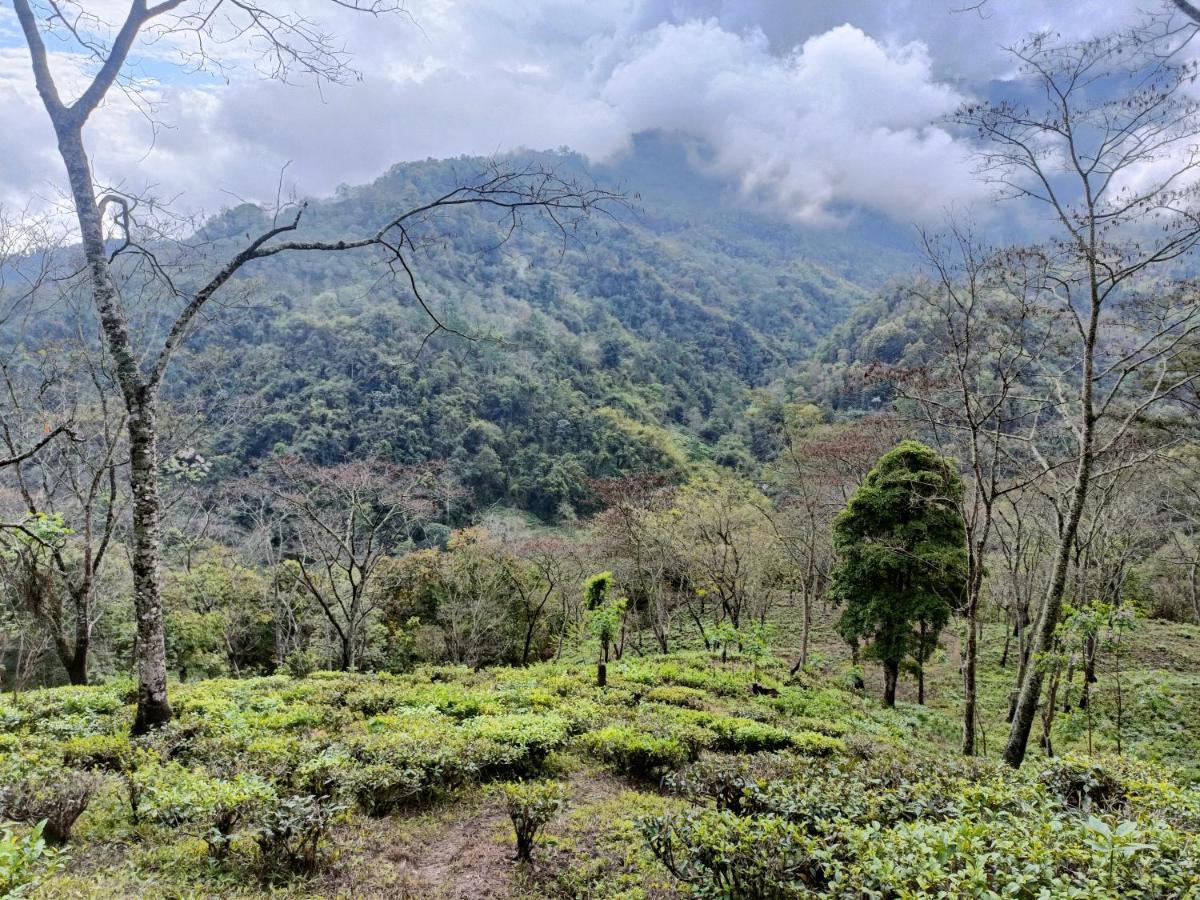 Live In Nature Darjeeling  Bagian luar foto