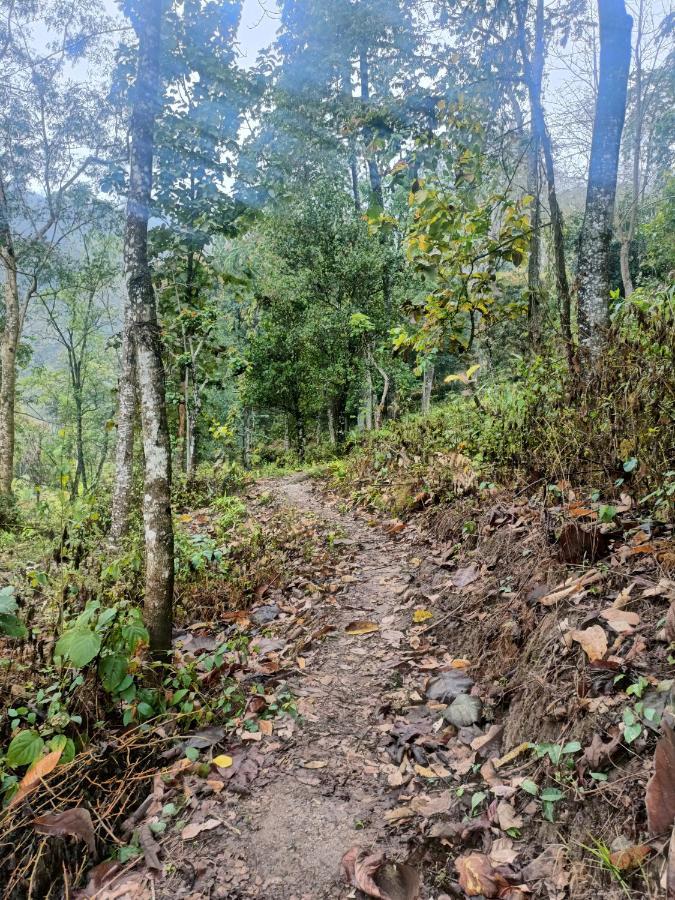 Live In Nature Darjeeling  Bagian luar foto